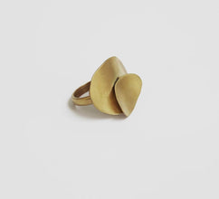 Magnolia Golden Ring